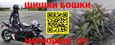 шишки Пенза