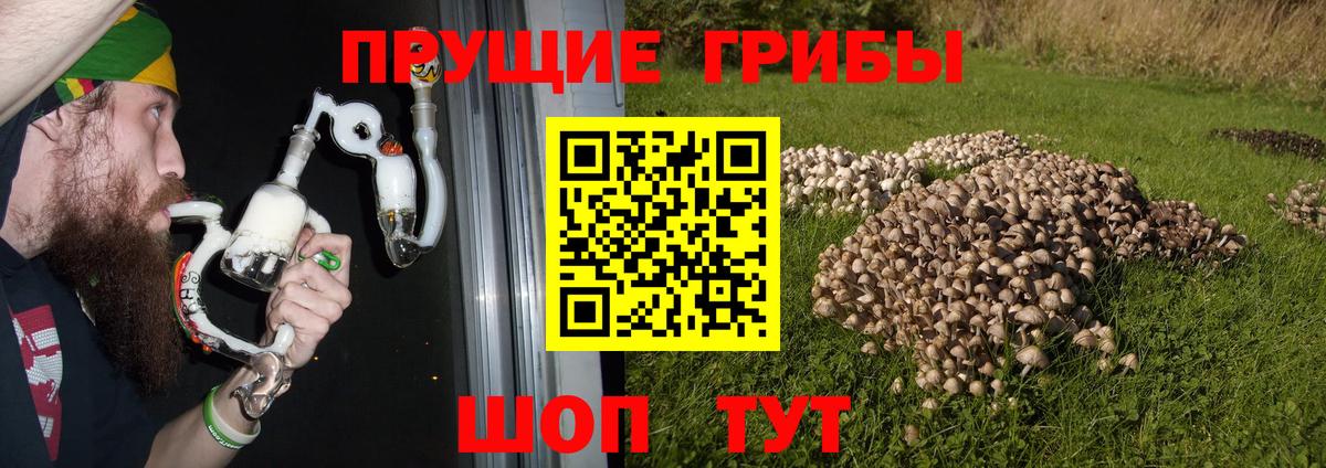 Псилоцибиновые грибы прущие грибы  Галлюциногенные грибы MAGIC MUSHROOMS  Вход с VPN  Рязань 
