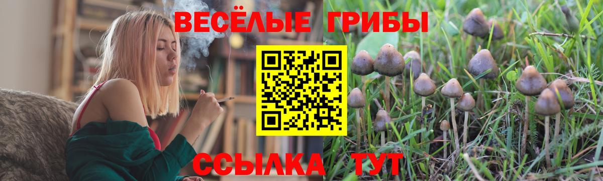 Псилоцибиновые грибы Psilocybine cubensis Рязань